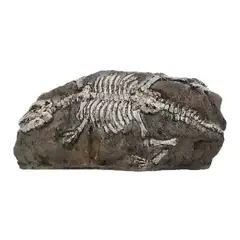 GENERICO - ADORNO PARA ACUARIO PECERA PECES - FOSIL 16 x 3 x 8 cm