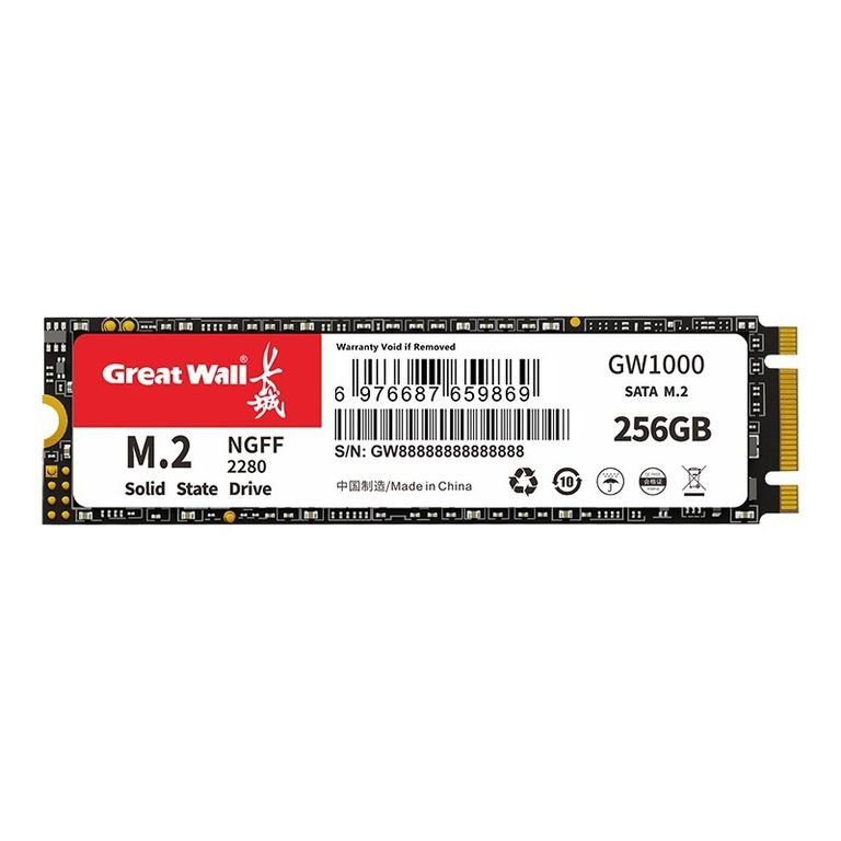 Disco Dure SSD 256GB 2280 M.2 SATA GW1000