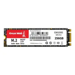 GREAT WALL - Disco Dure SSD 256GB 2280 M.2 SATA GW1000
