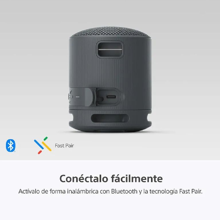 Parlante Bluetooth SRS-XB100 Portátil
