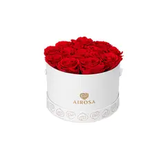 AIROSA - Box Deslumbrarte con 15 Rosas Rojas preservadas