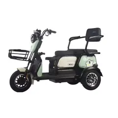 GREEN RIDER - Trimoto Eléctrica color verde