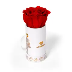 AIROSA - ROSAS PRESERVADAS - Flor Rosa Venus color rojo