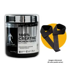 KEVIN LEVRONE - CREATINA DE 300gr CON STRAPS - CREATINA MONOHIDRATADA