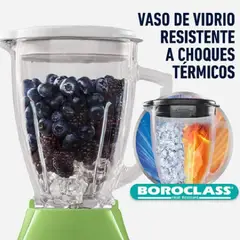 OSTER - Licuadora 15L de Vidrio Kiwi Kaliman BLSTKAG-KPB-053