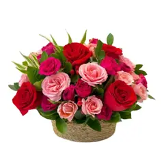 D'AMOUR - Cesto de rosas rojas