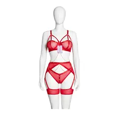 GENERICO - LENCERIA ARNES PORTALIGAS SEXY CON LIGUEROS