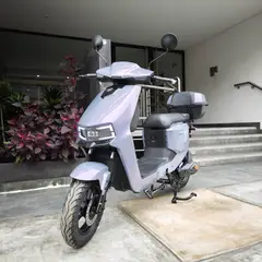 GENERICO - BICIMOTO ELECTRICA LITIO EXTRAIBLE ZKK PURPLE MARCA LUYUAN