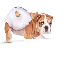 GENERICO - Pañal para perros Hembra Talla L X 10 unidades