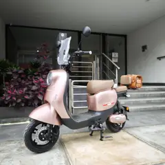 GENERICO - BICIMOTO ELÉCTRICA LITIO EXTRAÍBLE DUM ROSADO GOLD