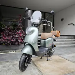 GENERICO - BICIMOTO ELÉCTRICA LITIO EXTRAÍBLE DUM VERDE