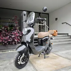 GENERICO - BICIMOTO ELÉCTRICA LITIO EXTRAÍBLE DUM NEGRO