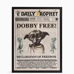 GENERICO - Cuadro 3d Con Movimiento Dobby harry Potter Decoración Mágica