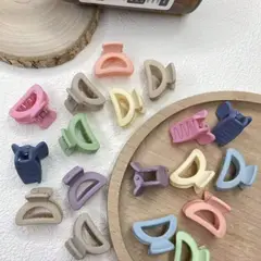 AFRODITA - Set x 20 Ganchos Pequeños Para el Cabello Full Color