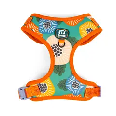 GENERICO - PECHERA CUTE DOG + CORREA TALLA S NARANJA