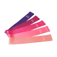 GENERICO - Mini Banda Cerrada de 5 Niveles Elastica x5 Fitness