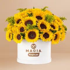 MAGIA PE - Majestic de Girasoles Magiape
