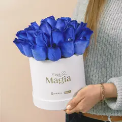 MAGIA PE - Box Rosas Azules Magiape