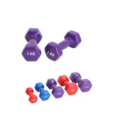 GENERICO - Mancuerna de Vinil de 1 KG - Morado