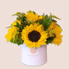 GENERICO - Box Girasoles Premium