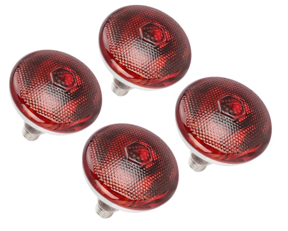 Pack de 4 Focos Infrarrojos Calefacción Para Cerdos Perros Pollos 100w