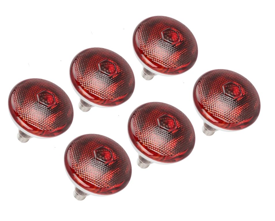 Pack de 6 Focos Infrarrojos Calefacción Para Cerdos Perros Pollos 150w