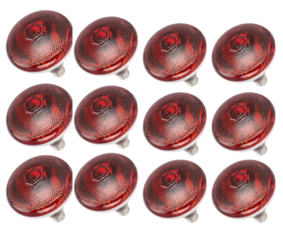 Pack de12 Focos Infrarrojos Calefacción Para Cerdos Perros Pollos 200w