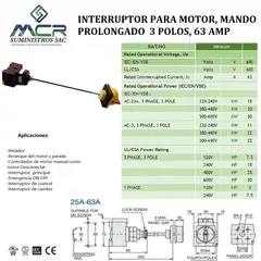 GENERICO - INTERRUPTOR PARA MOTOR, MANDO PROLONGADO 3 POLOS, 63 AMP