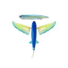 GENERICO - Slipstream 140 Flying Fish Ahi Ghost