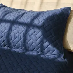 CLAUDIA RIVA HOME - Cubrecama Alpes color Azul