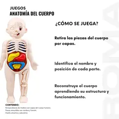 GENERICO - JUEGO EDUCATIVO DE ANATOMÍA DEL CUERPO ENCAJABLE