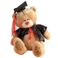 GENERICO - Peluche Oso Graduado Marron Importado - Mide 20 cms alto