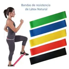 GENERICO - SET DE 5 BANDAS ELÁSTICAS DE LATEX