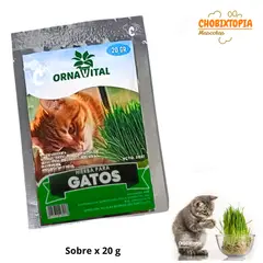 GENERICO - SEMILLA DE HIERBA GATERA EN SOBRE x 20g