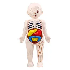 GENERICO - JUEGO EDUCATIVO DE ANATOMÍA DEL CUERPO ENCAJABLE