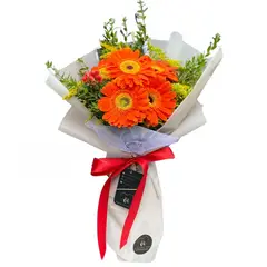 GENERICO - Ramo Vera - Flores Naturales Gerberas - Ramo de Flores