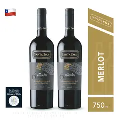SANTA EMA - Vino Blocks 6 Grand Reserva Merlot Pack x2
