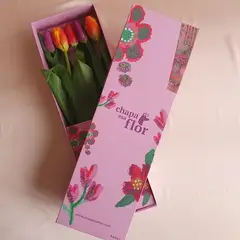 CHAPA ESA FLOR - Box Premium con 5 tulipanes multicolor