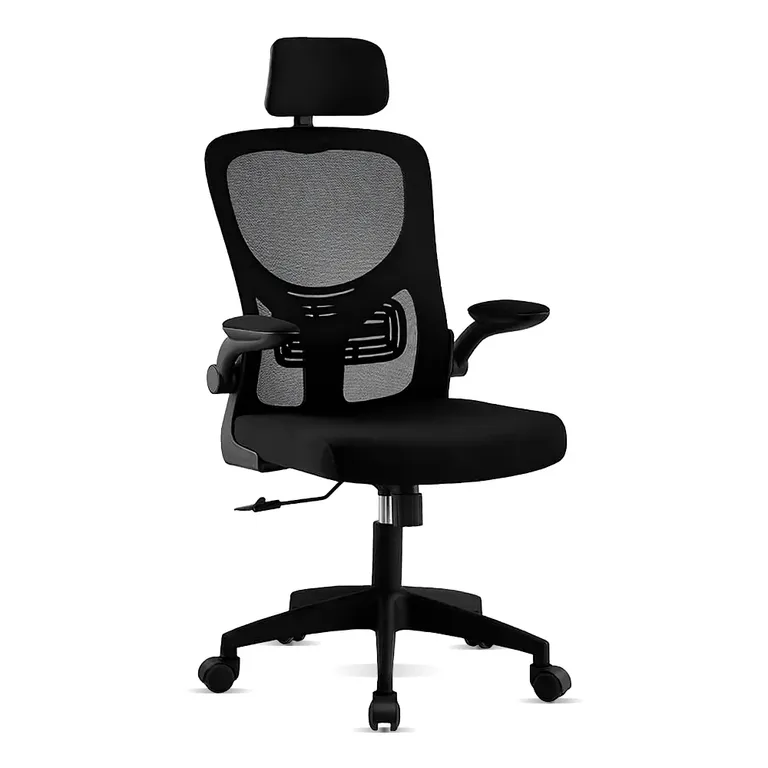 Silla de Oficina Ergonomica con Soporte Lumbar Guss - Negro