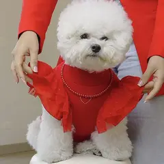 PERRITO PITUCO - ROPITA PERRRITO PITUCO SWEATER PERLITAS ROJO TALLA 4