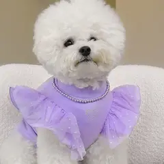 PERRITO PITUCO - ROPITA PERRRITO PITUCO SWEATER PERLITAS LILA TALLA 1