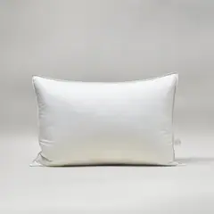 GENERICO - ALMOHADA DE PLUMAS 50X70CM