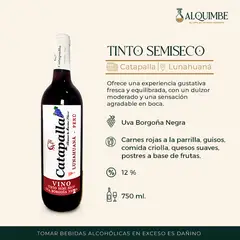 GENERICO - Vino Artesanal Tinto Semi Seco 750ml
