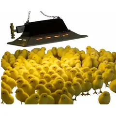 GENERICO - Lámpara Grande a Gas para 1000 Pollos.