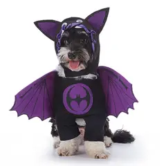 DANWEILE - Disfraz de demonio volador para mascota de Halloween -Talla XL