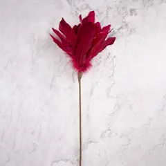 PANADECOR - Pack de 2 Plumas Rojo Panorama Hogar