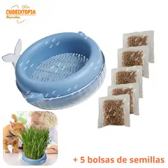 GENERICO - HIERBA GATERA MACETA BALLENITA - PARA GATOS - CELESTE