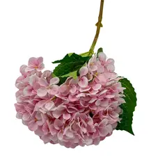 FLORIPA - Vara de Flor Hortensia de 67cm 7248-5ROS FLORIPASTORE