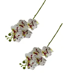 FLORIPA - Set de 2 Varas de Orquidea Artificial de 49cm BG410086-BLM FLORIPASTORE