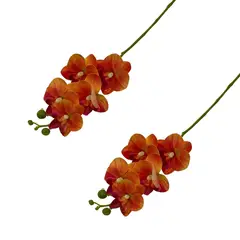 FLORIPA - Set de 2 Varas de Orquidea Artificial de 49cm BG410086-NAR FLORIPASTORE